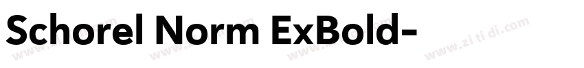 Schorel Norm ExBold字体转换 Schorel Norm ExBold字体转换